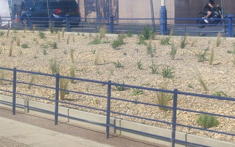 Eastbourne Carpet Gardens Survey Confirms Every Resident Wants Something Completely Different